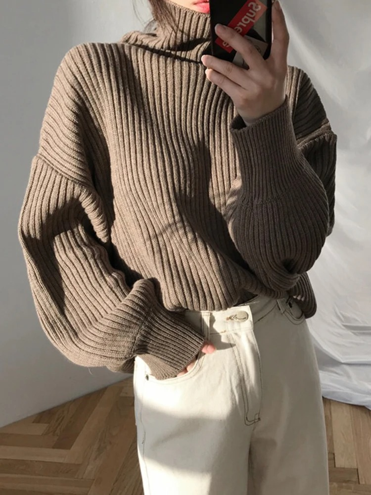 Warm Cozy Women's Winter Turtleneck Sweater