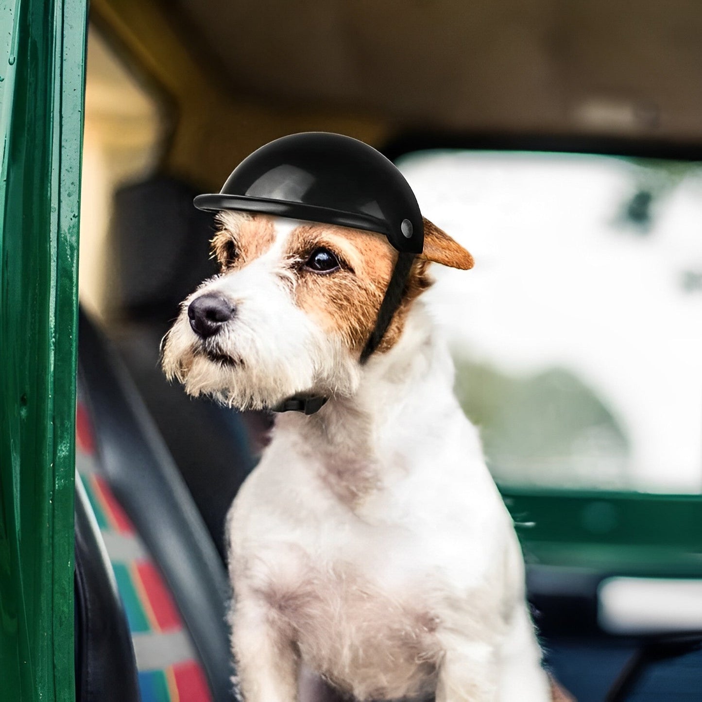 Protective Dog Motorcycle Helmet and Goggles Set - VogeLuxe