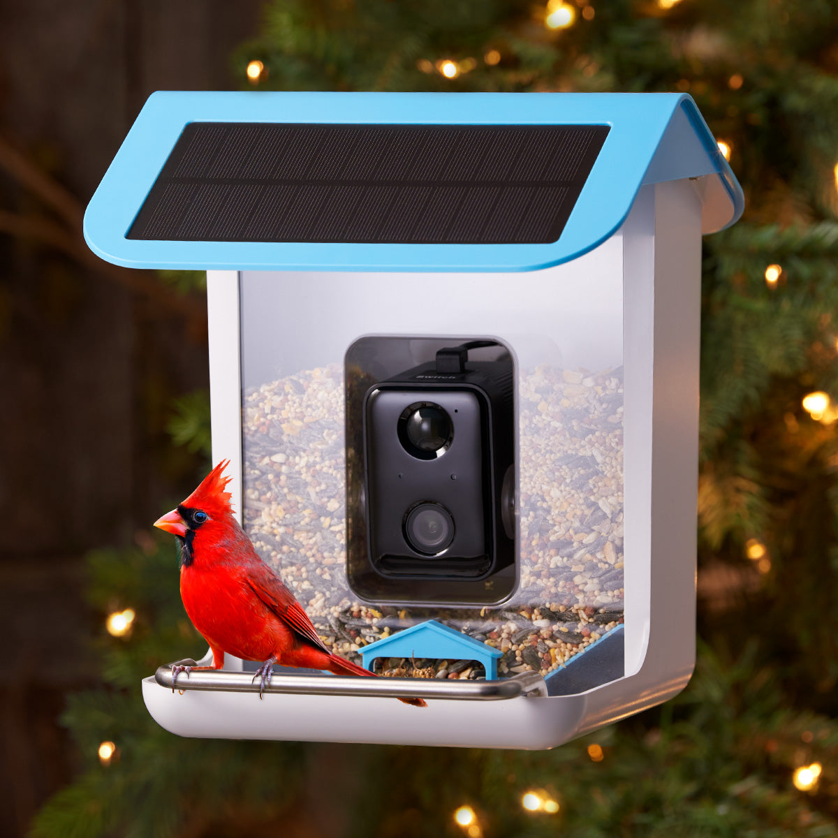Wireless Solar Powered Outdoor Security Camera Bird Feeder - VogeLuxe