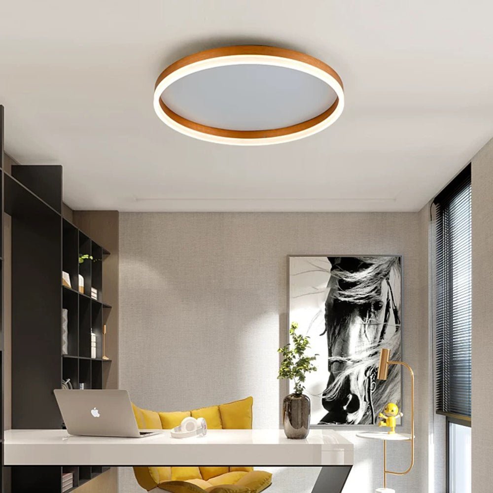 Bright Dimmable LED Ceiling Light