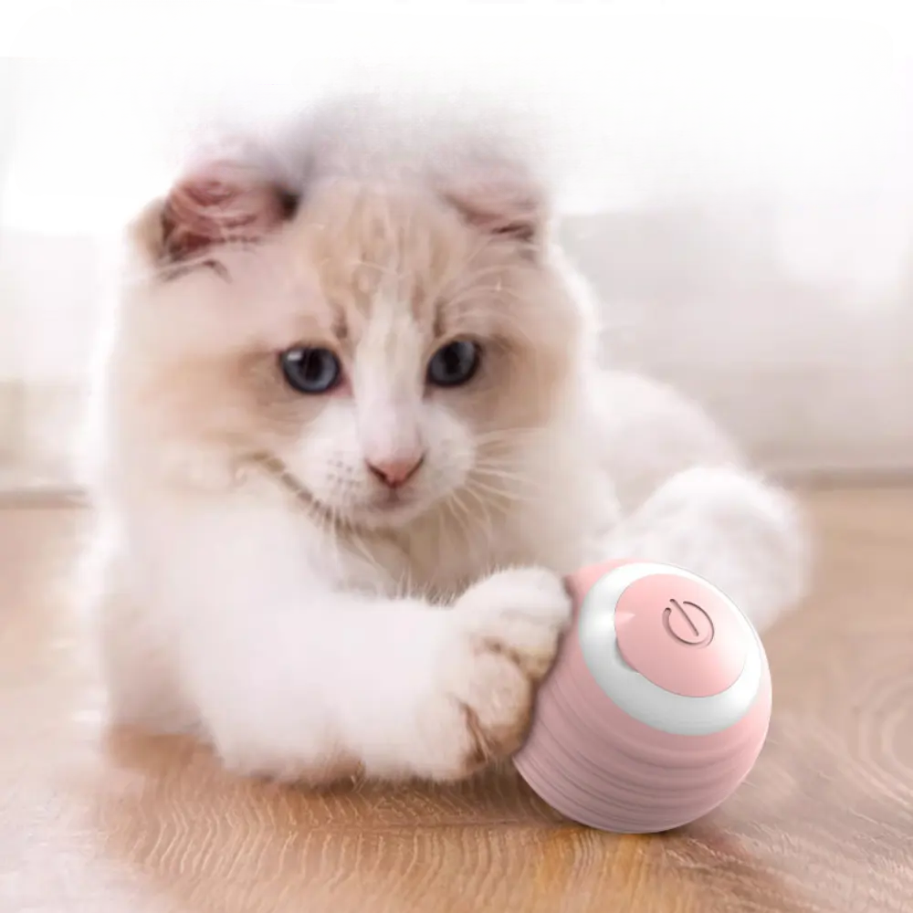 Interactive Motorized Pet Ball Toy