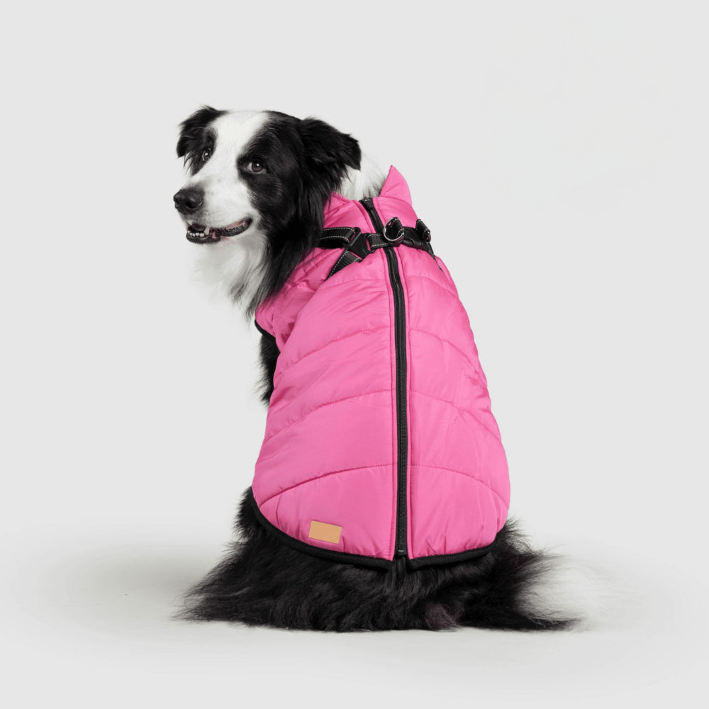 Warm Waterproof Dog Winter Coat