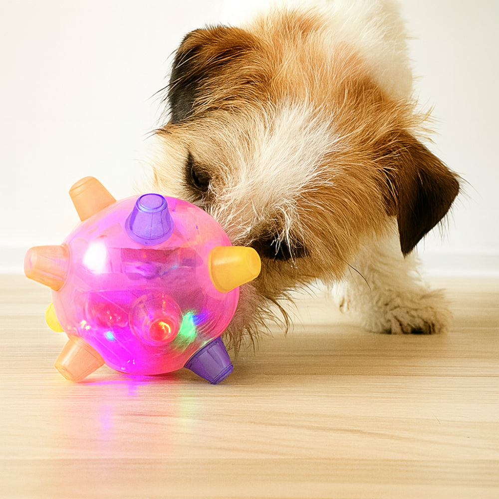Fun Interactive LED Bouncing Dog Ball Toy - VogeLuxe