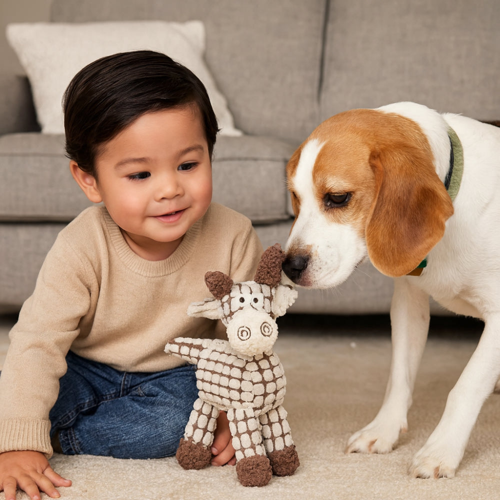 Fun Pet Rope Chew Toy Squeaker