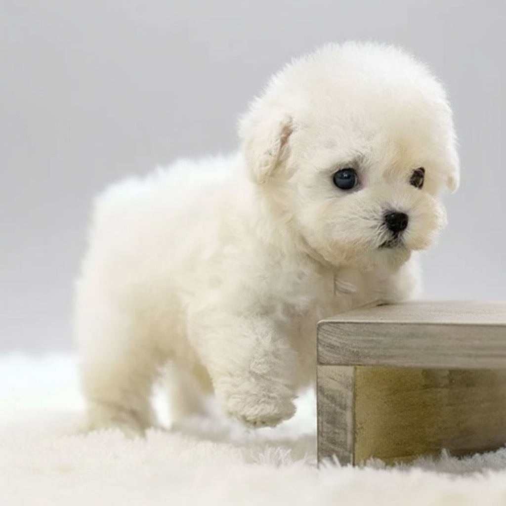 Fun Electronic Pet Dog Toy with Realistic Sounds