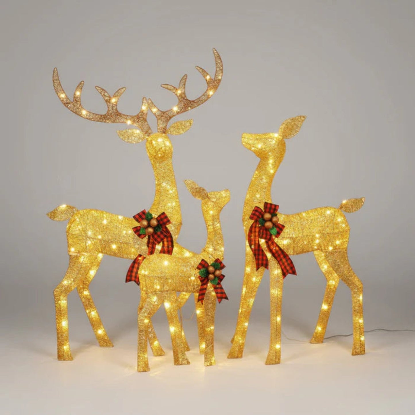 Festive Outdoor Holiday Reindeer Lawn Lights Display