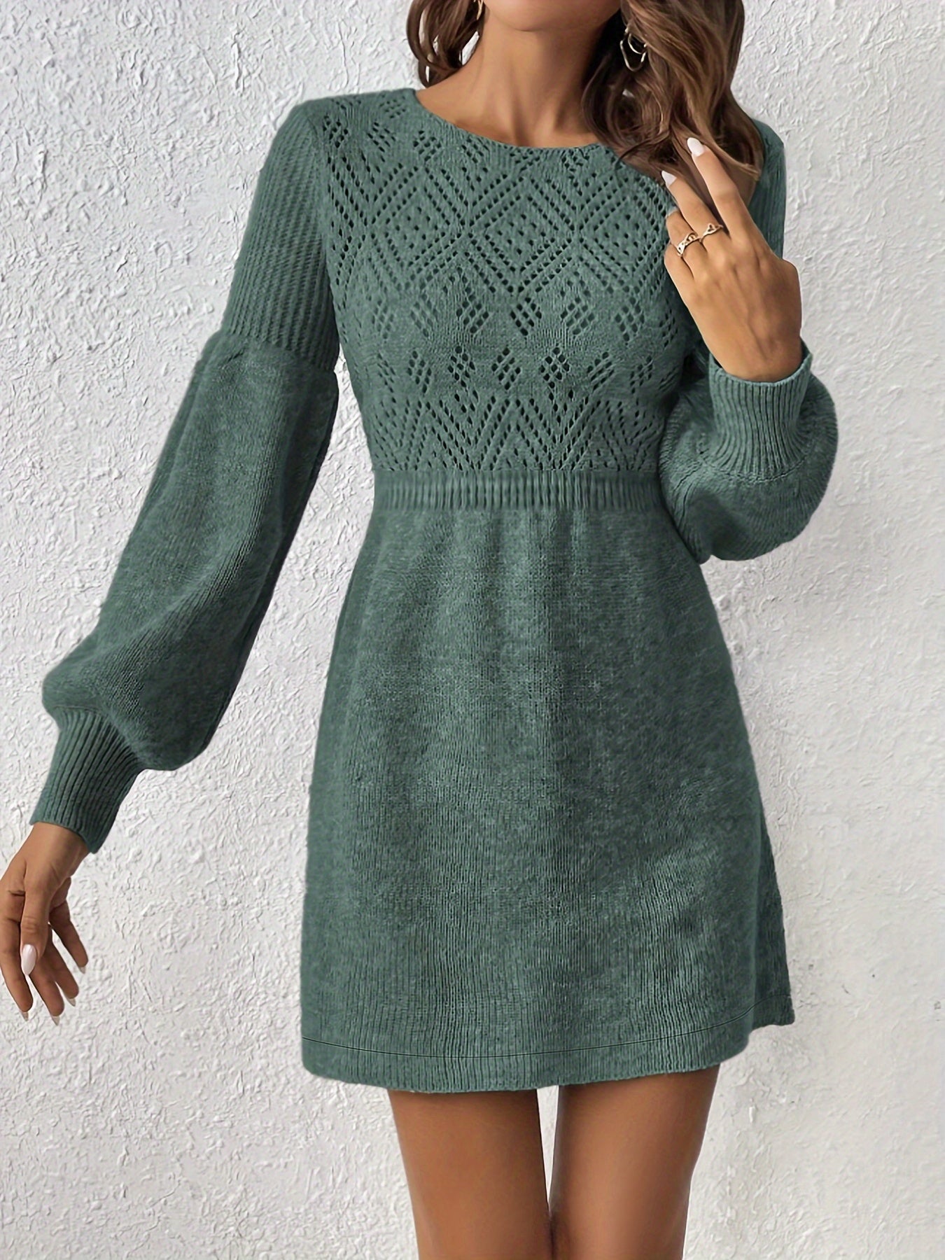 Elegant Lace Fit Flare Long Sleeve Women's Party Dress