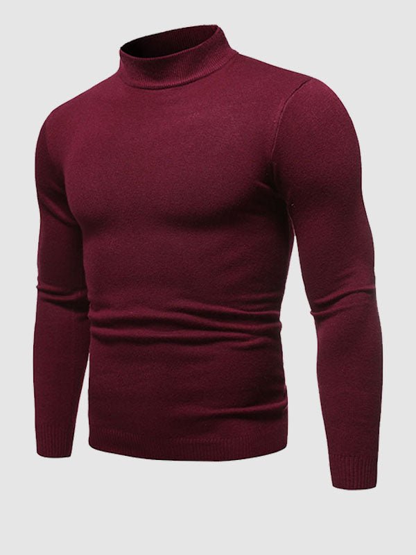 Men's Fit Turtleneck Crew Neck Sweater