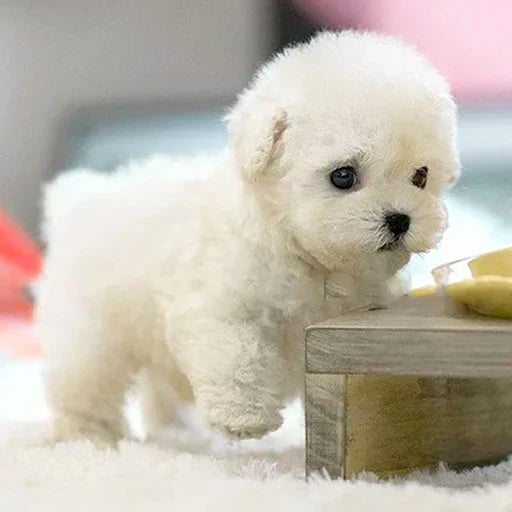 Cuddly Electronic Pet Puppy With Sensor Touch