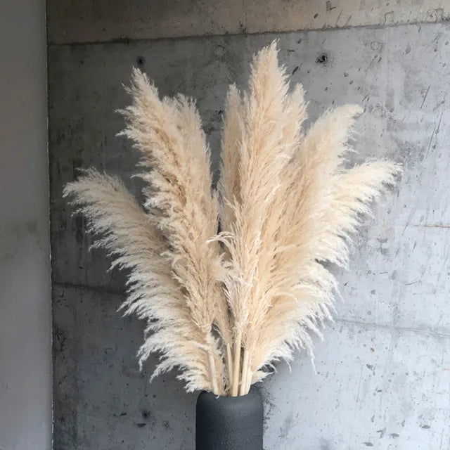 Natural Dried Pampas Grass for Boho Home Decoration