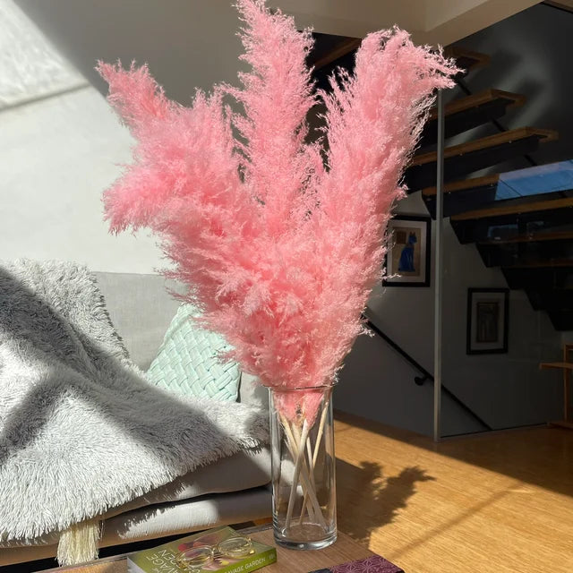 Natural Dried Pampas Grass for Boho Home Decoration