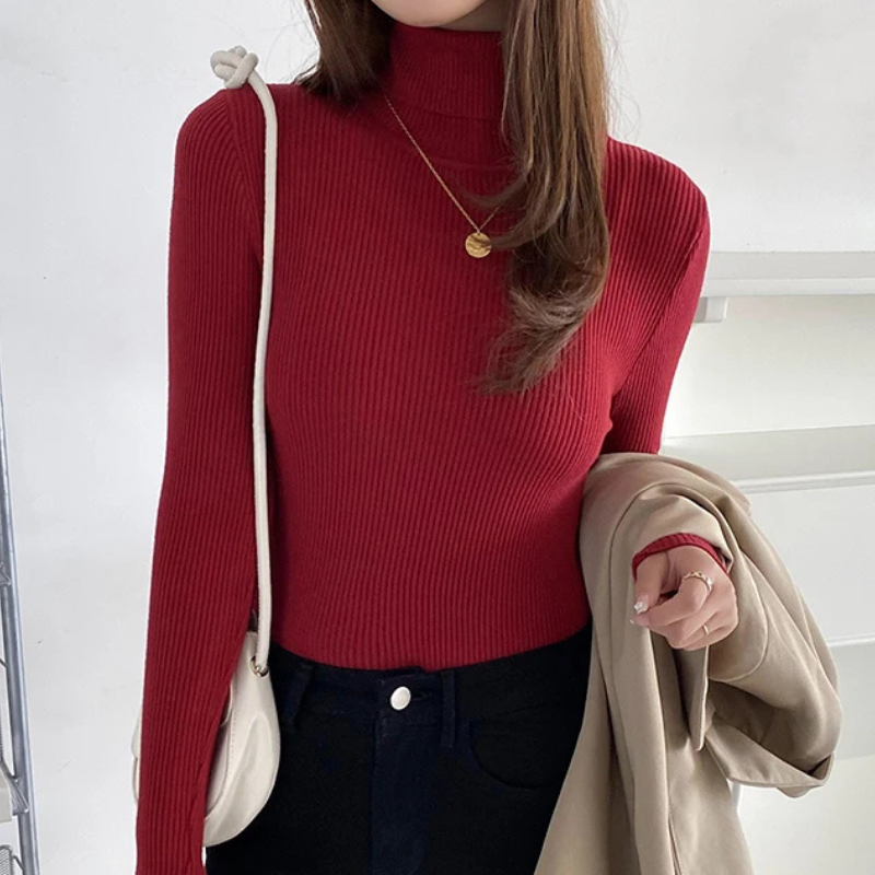 Women's Fitted Crew Neck Warm Knit Sweater