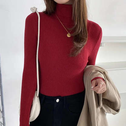 Women's Fitted Crew Neck Warm Knit Sweater