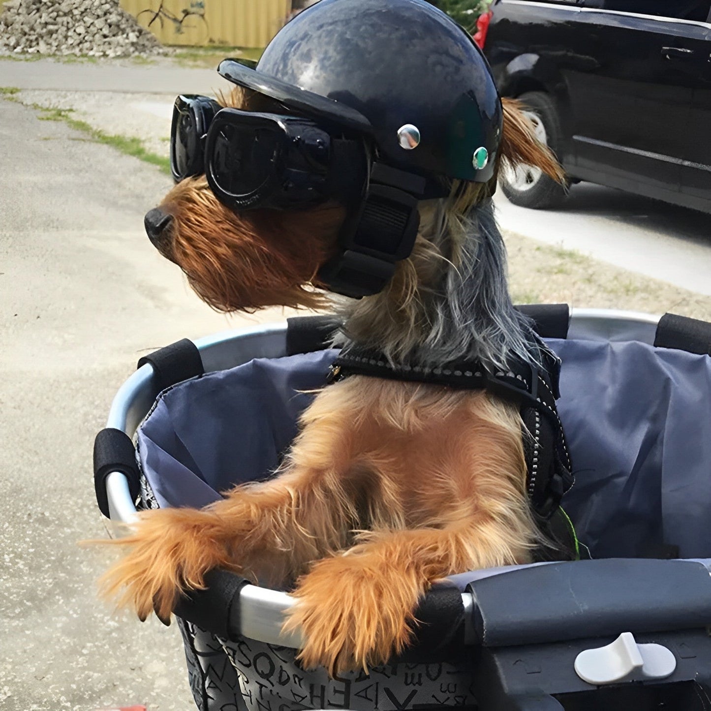Protective Dog Motorcycle Helmet and Goggles Set