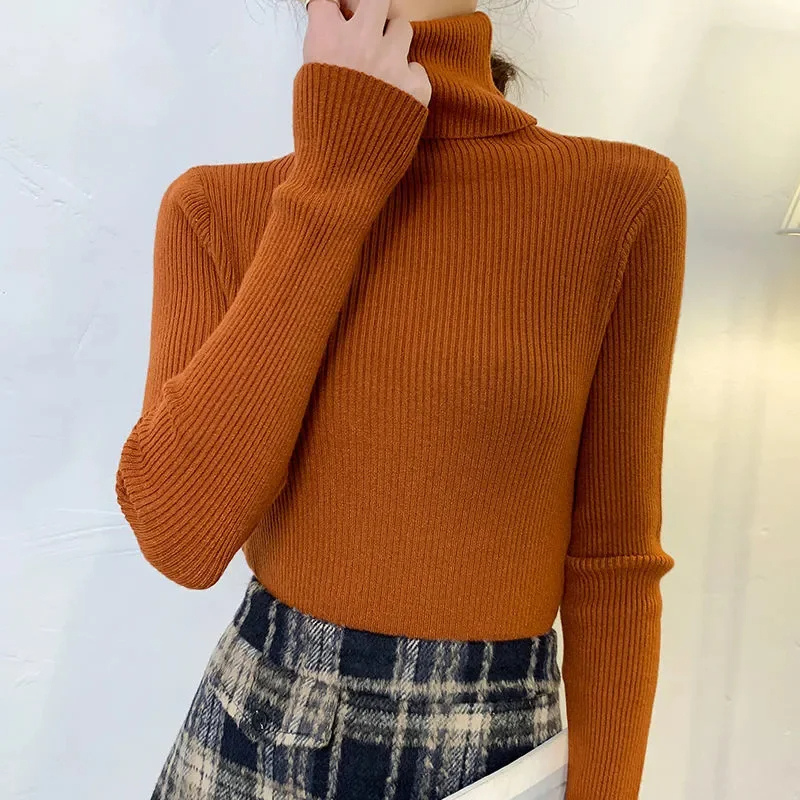 Women's Fitted Crew Neck Warm Knit Sweater