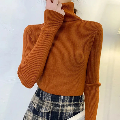Women's Fitted Crew Neck Warm Knit Sweater