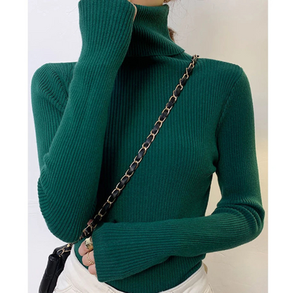 Women's Fitted Crew Neck Warm Knit Sweater
