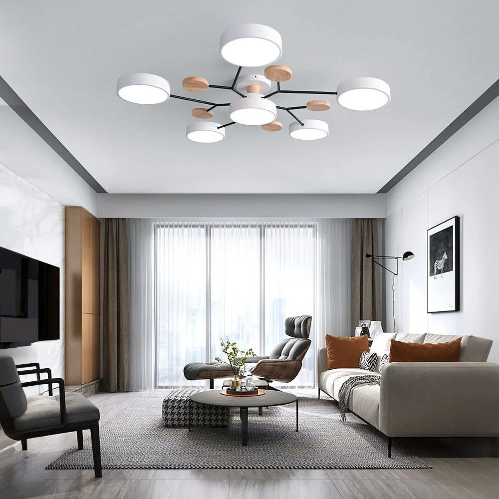 Stylish LED Ceiling Mount Light Fixture