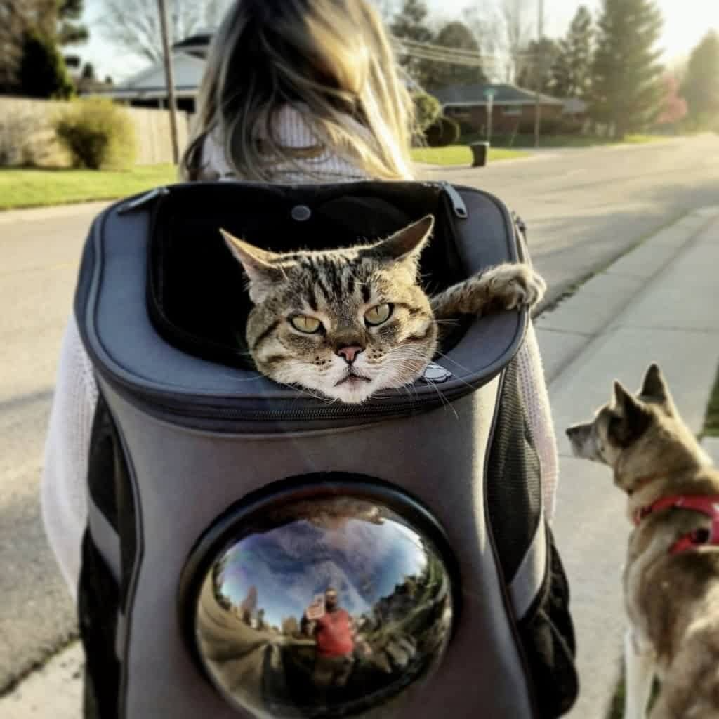 Breathable Pet Carrier Backpack with Mesh Window