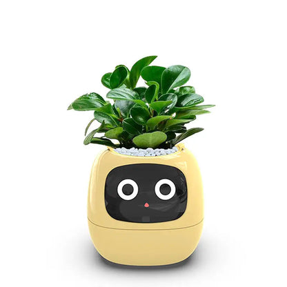 Intelligent Self Watering Indoor Planter With 7 Sensors