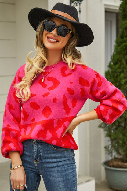 Trendy Leopard Crew Neck Knit Sweater