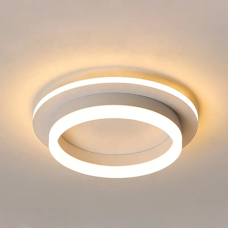Elegant Entryway Ceiling Light