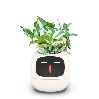 Intelligent Self Watering Indoor Planter With 7 Sensors