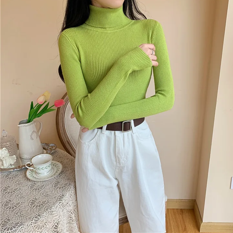 Cozy Fit Women's Winter Turtleneck Jumper Sweater - BritishElegance