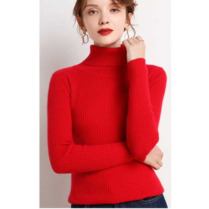Women's Fitted Crew Neck Warm Knit Sweater