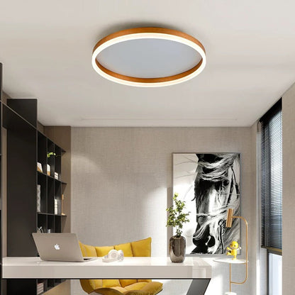Bright Dimmable LED Ceiling Light