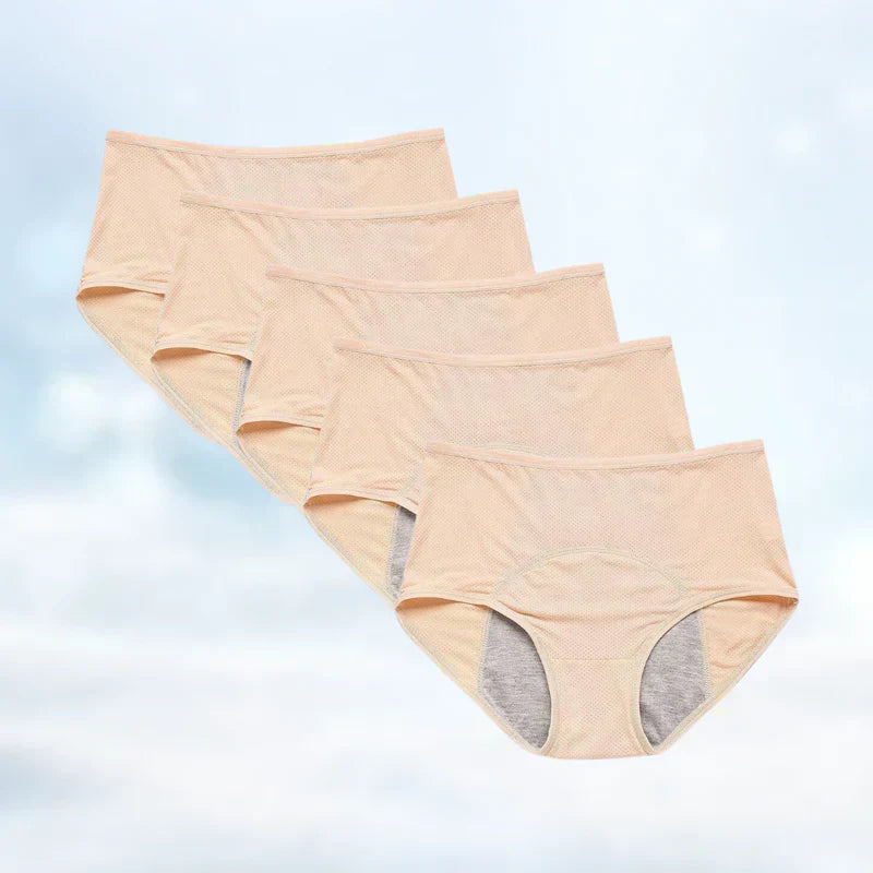 Comfortable Leak Proof Ladies Briefs 5 Pack Deal