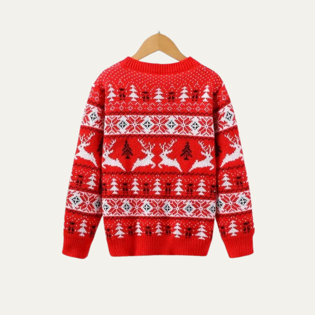 VogeLuxe | Men’s Festive Fair Isle Crewneck Knit Sweater