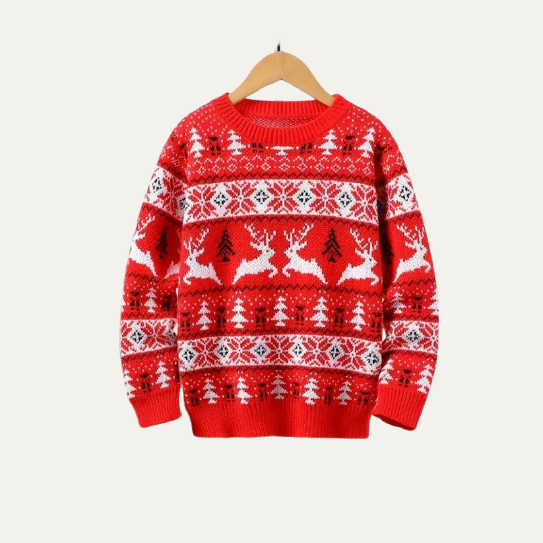 VogeLuxe | Men’s Festive Fair Isle Crewneck Knit Sweater