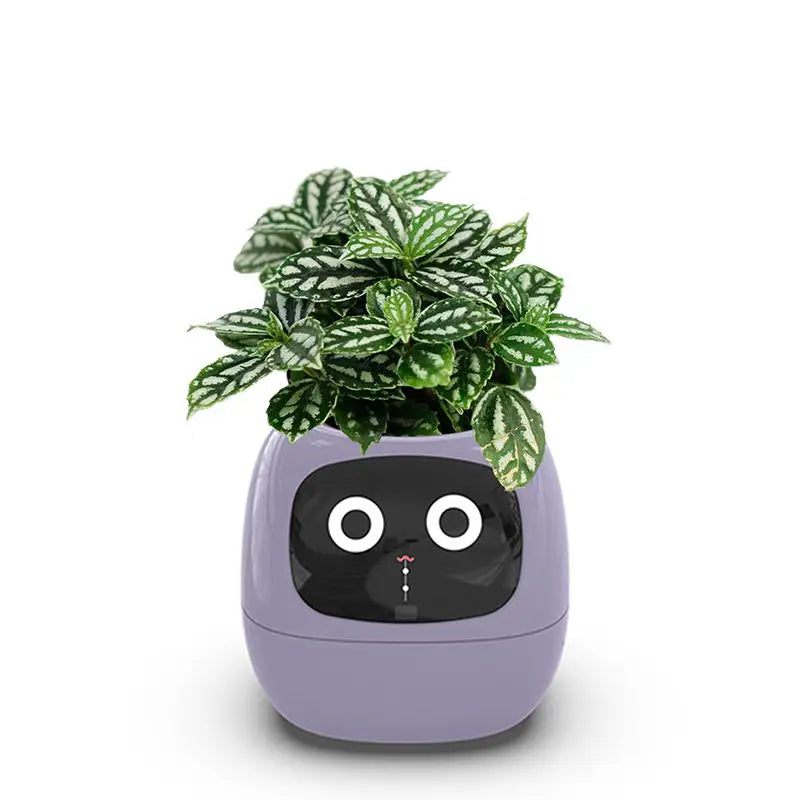 Intelligent Self Watering Indoor Planter With 7 Sensors