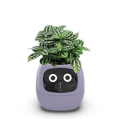 Intelligent Self Watering Indoor Planter With 7 Sensors