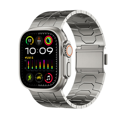 Stainless Steel Pet ID Band - BritishElegance