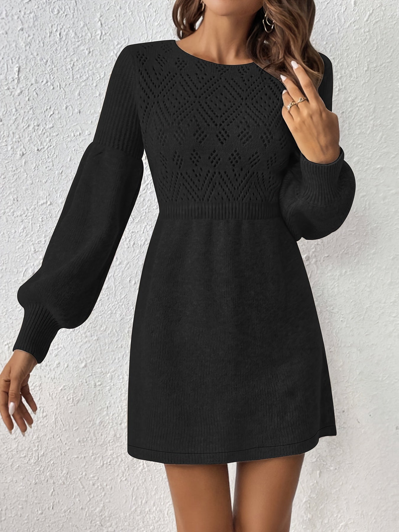 Elegant Lace Fit Flare Long Sleeve Women's Party Dress