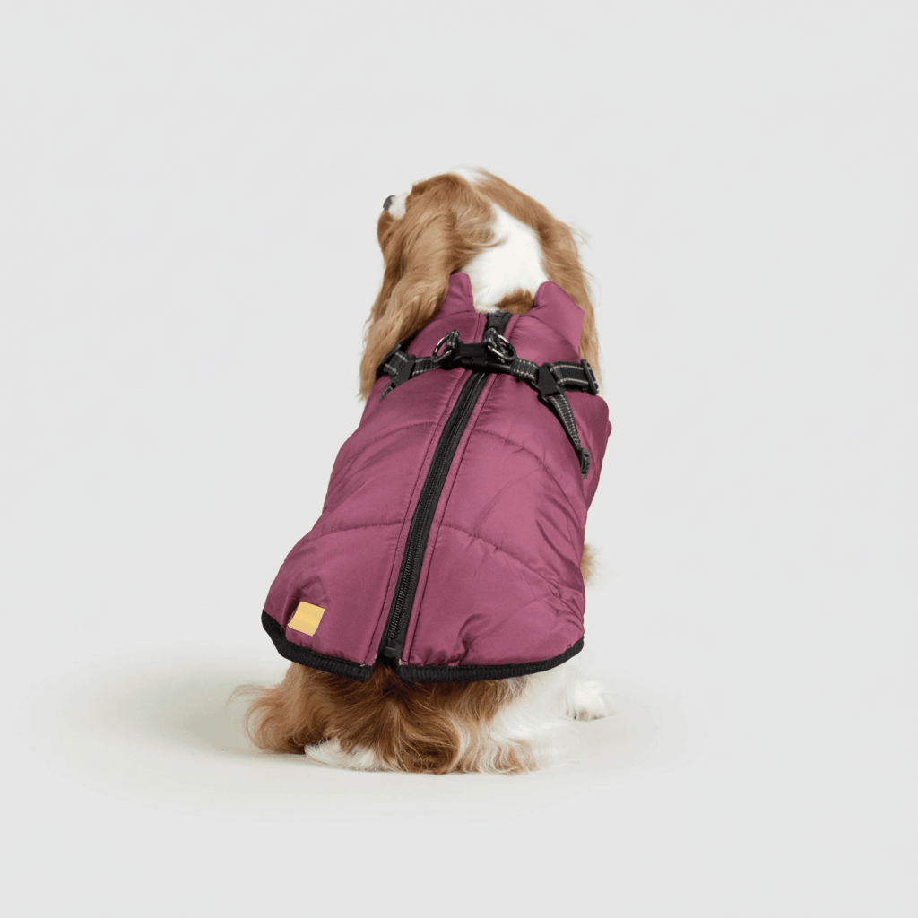 Waterproof Insulated Dog Parka Warm Winter Coat