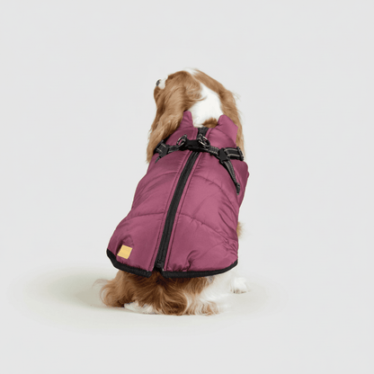 Waterproof Insulated Dog Parka Warm Winter Coat