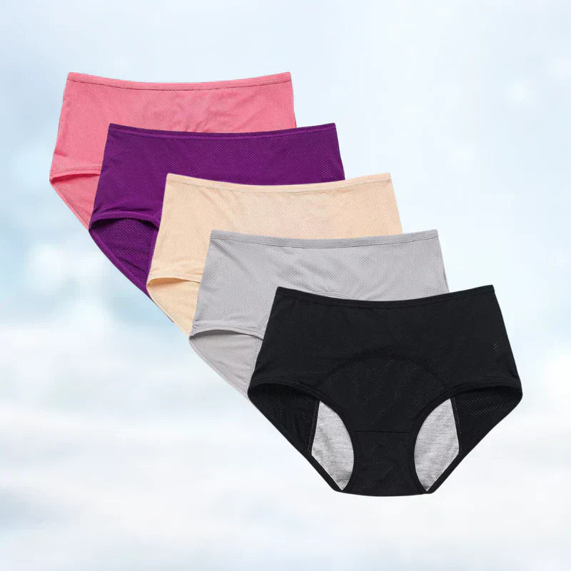 Comfortable Leak Proof Ladies Briefs 5 Pack Deal