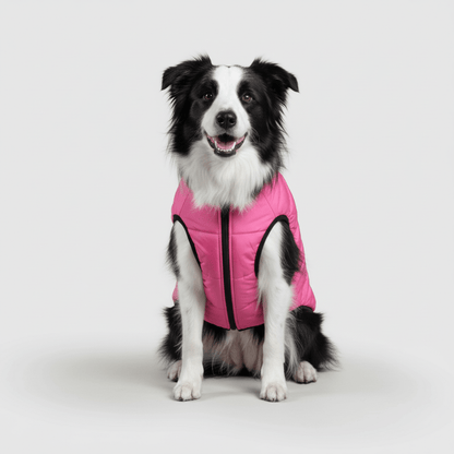 Waterproof Insulated Dog Parka Warm Winter Coat