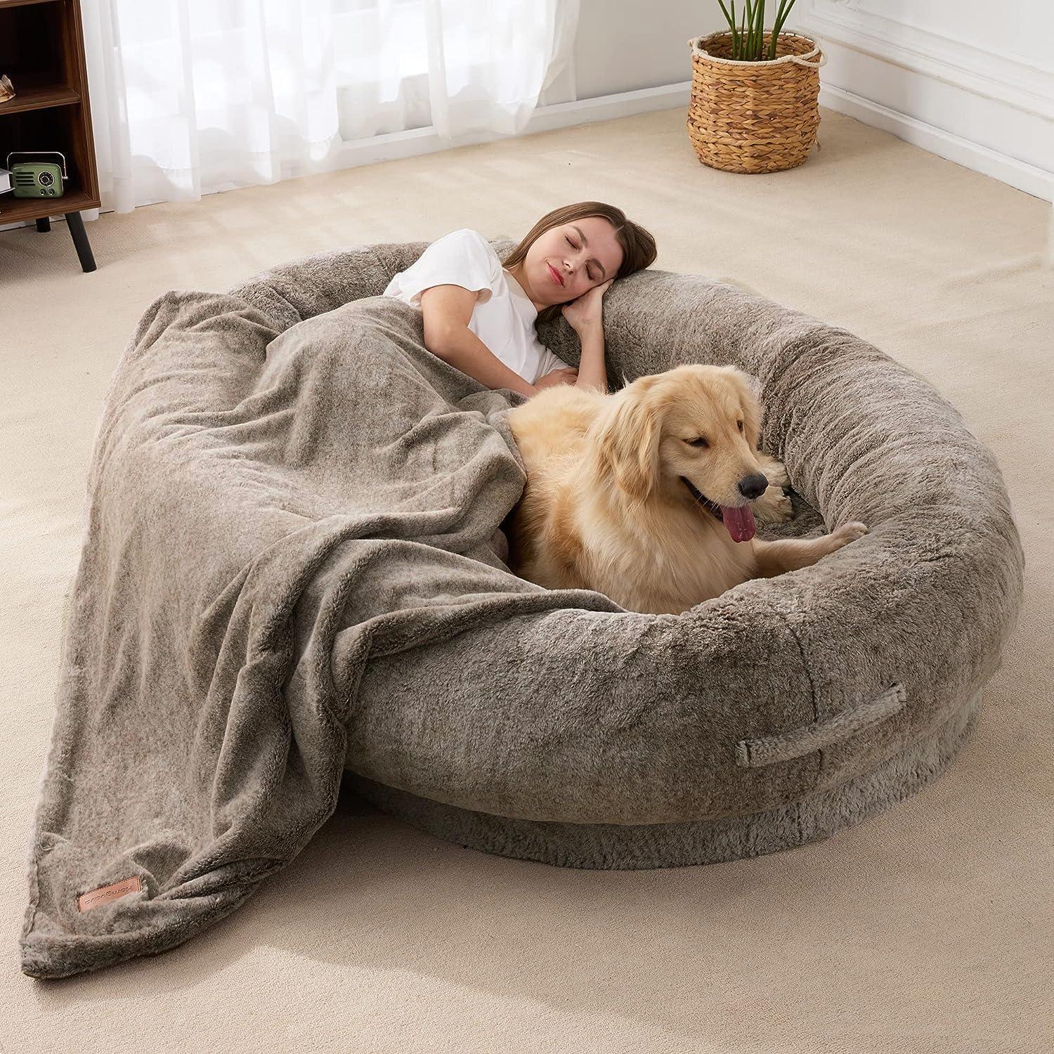 Comfy Double Dog Sofa Bed for Cozy Snuggles - VogeLuxe