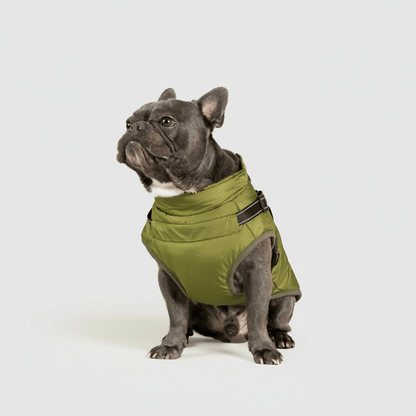 Waterproof Insulated Dog Parka Warm Winter Coat