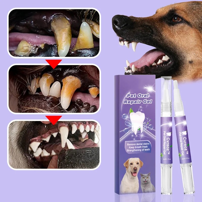 Silvone Pet Tag Identifier