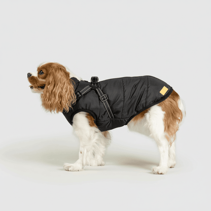 Waterproof Insulated Dog Parka Warm Winter Coat
