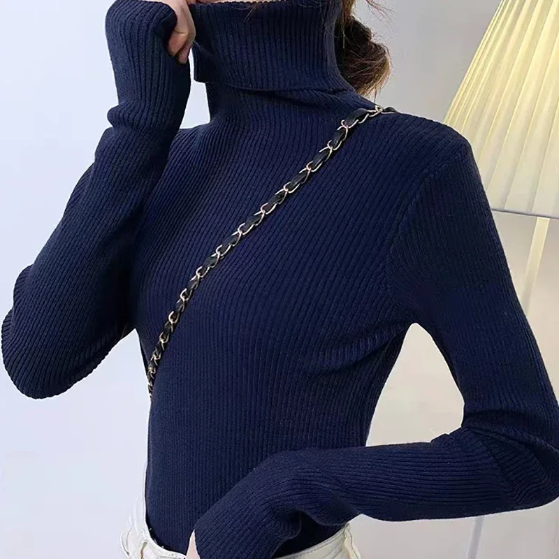 Women's Fitted Crew Neck Warm Knit Sweater