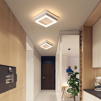 Elegant Entryway Ceiling Light
