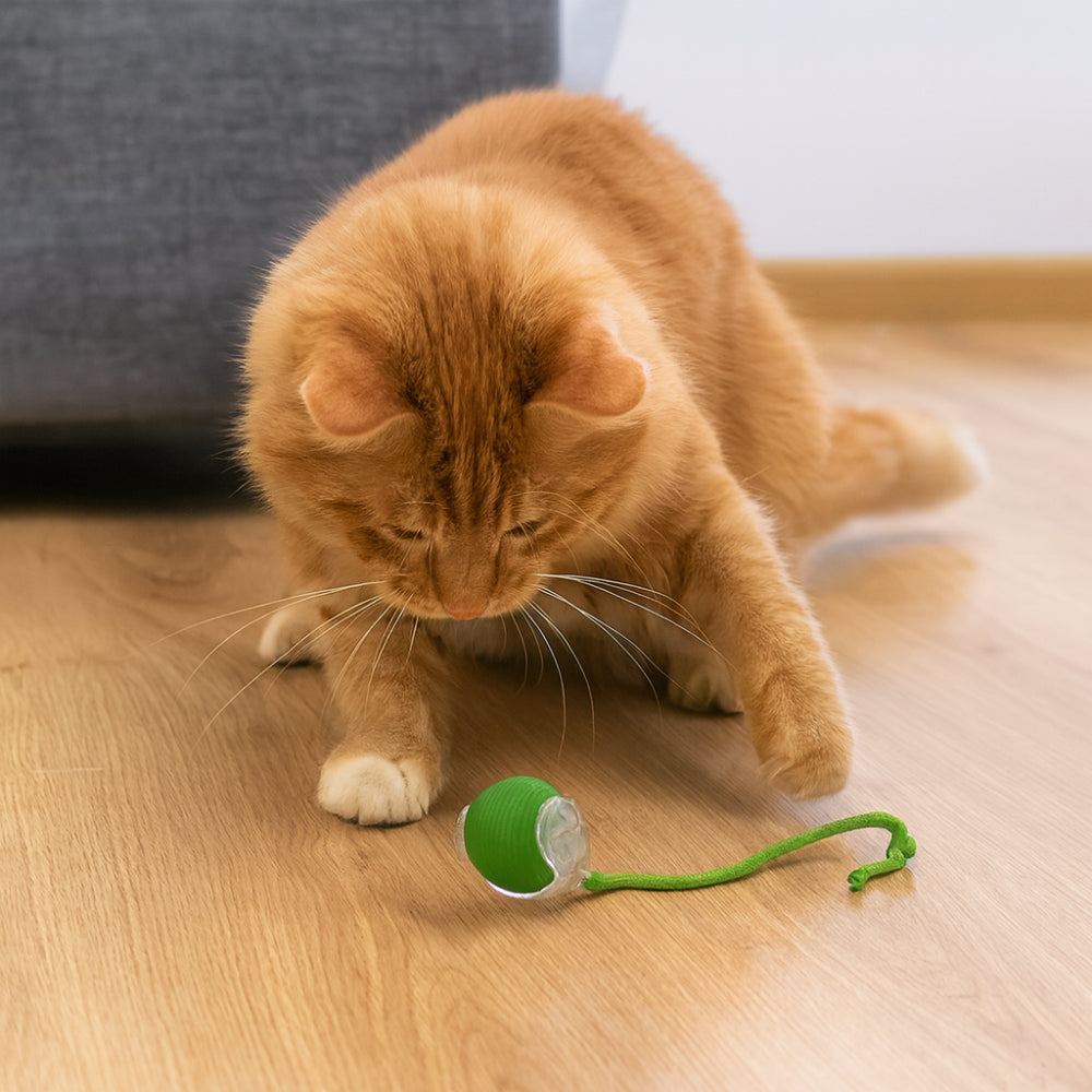 Fun Pet Interactive Play Ball Toy