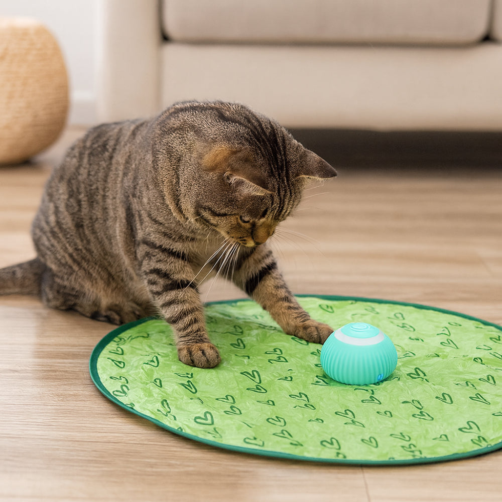 Fun Interactive Cat Play Mat with Balls