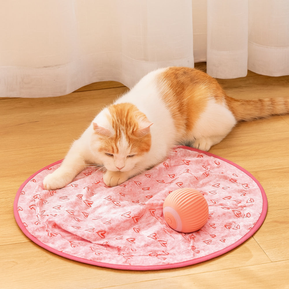 Fun Interactive Cat Play Mat with Balls